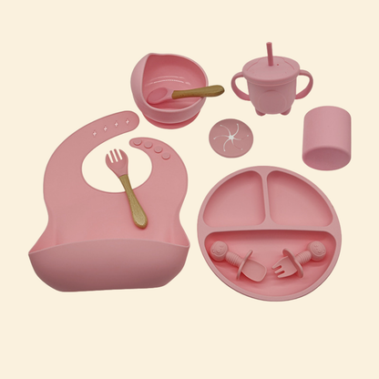 Silicone First Meal Set