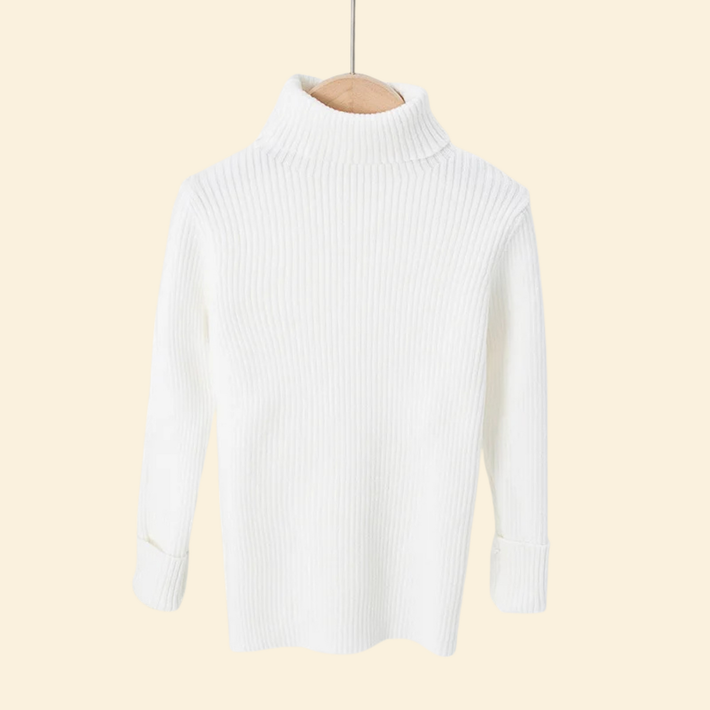 Turtleneck Knitted Sweater